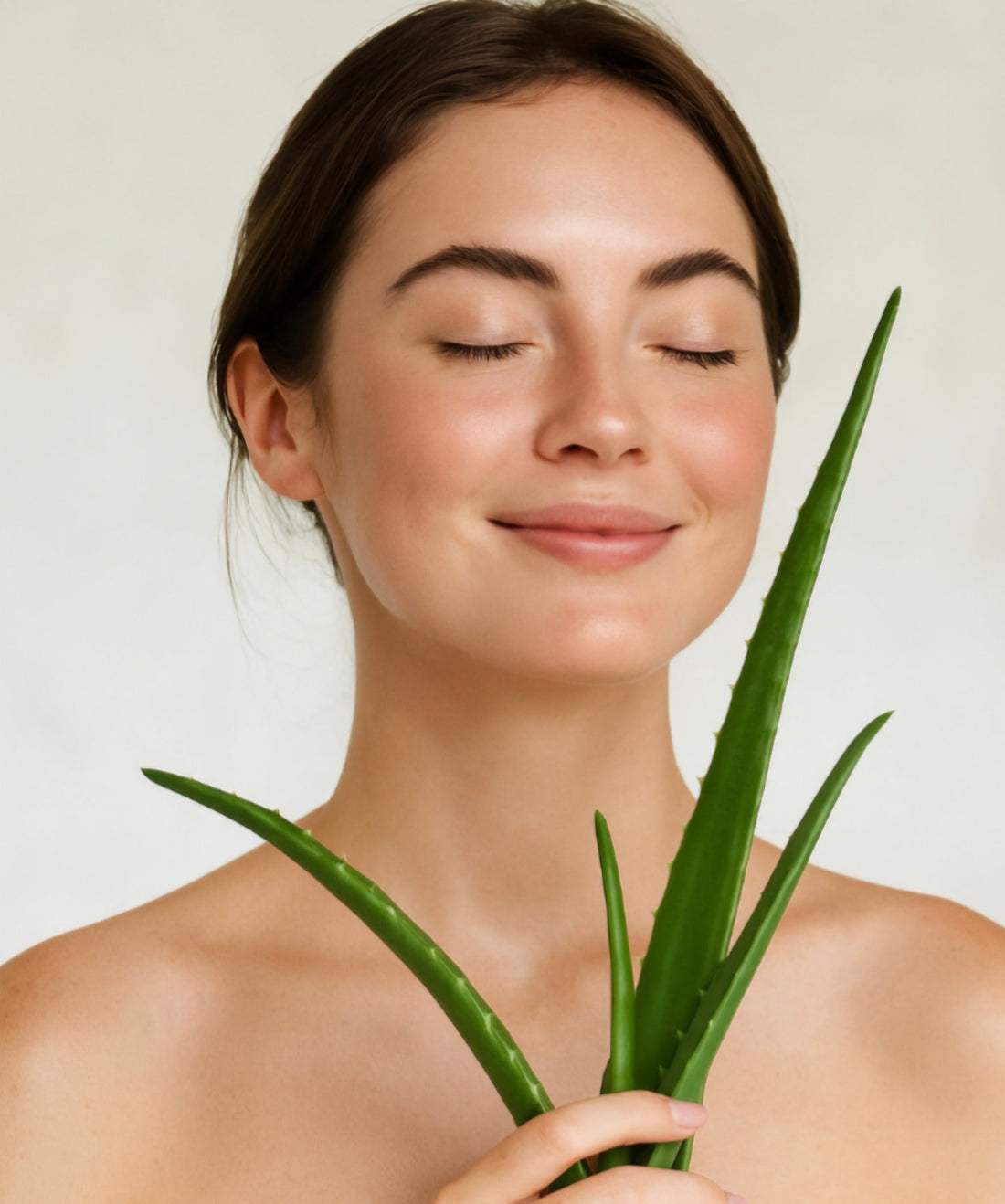 Discover the Power of Aloe Vera